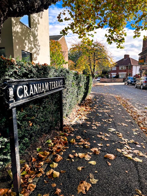 A street scene showing a residential area with a black street sign reading 'Cranham Terrace' mounted on a metal post next to a hedge. The hedge runs alongside a paved sidewalk covered with fallen autumn leaves. Part of a cream-coloured house with windows is visible to the left, partially shaded by a large tree with green and yellow foliage. In the background, there are additional houses with brick and tiled roofs, some with chimneys, and parked cars along the curb. The scene is brightly lit with natural daylight, indicating clear weather. This setting illustrates typical exterior arrangements encountered during house removals or home relocation processes, including street access and curbside space, relevant to the services offered by Man With a Van Crayford for furniture transport and packing and moving activities, especially in addressing common access challenges for end terrace removals in Crayford.