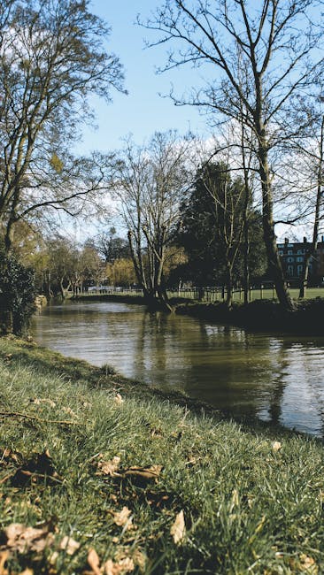 A riverside scene featuring a calm waterway bordered by grassy banks and leafless trees, with clear blue sky overhead. In the background, there is a building partially obscured by trees. The foreground shows a patch of grass with scattered fallen leaves. This setting illustrates an outdoor environment near a residential or park area, which could be a point of access for house removals in Crayford. The image provides context for the logistics involved in home relocation, including navigating access points and planning furniture transport, as often required in professional removals services such as those offered by Man With a Van Crayford involved in detailed packing and loading processes.
