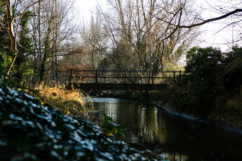 A scenic outdoor scene featuring a small metal footbridge with a dark railings spanning across a narrow, calm waterway, likely a river or canal. The bridge is positioned above the water, with its base visible on both sides, nestled among leafless trees and dense shrubbery, indicating late autumn or winter. The water reflects the surrounding trees and sky, creating a mirror-like surface. On the near bank, there are some green plants and foliage, with sunlight filtering through the branches, illuminating parts of the scene. The environment appears quiet and natural, representing a typical residential or park area that could be part of a house removal or relocation route, where careful access and planning are needed for transporting furniture or boxes over narrow pathways. Occasionally, a small section of pavement or pathway can be seen at the bottom edge of the image. As featured in the website manwithavancrayford.co.uk, such outdoor access points are relevant for urban or semi-rural home removals, especially when considering river or canal side properties in Crayford during packing and moving operations.