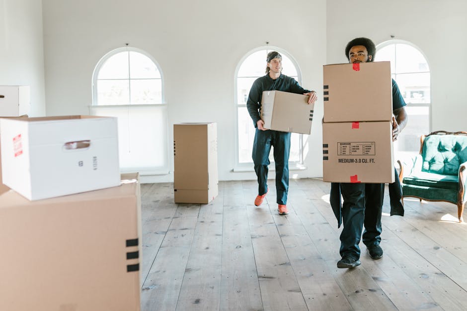 A spacious, well-lit room with a light-colored wooden floor and three large arched windows allowing natural daylight to fill the space. Inside, two men from Man With a Van Crayford are engaged in a home relocation process, carrying medium-sized cardboard boxes. The man on the right, with curly hair and wearing a black t-shirt and dark trousers, is lifting a box marked with red tape and labels indicating it contains medium-sized items, preparing for furniture transport or packing and moving. The man on the left, with longer hair and a cap, dressed similarly, is holding another box and walking towards an area outside the frame. Several additional packed boxes are visible, some stacked, others on the floor, secured with plastic wrap or packing materials. In the background, there is a green armchair and a small cardboard box on a side table, reinforcing the domestic setting. The scene captures a professional loading process typical of a house removals service, emphasizing careful handling, efficient space use, and organized packing for a smooth relocation.